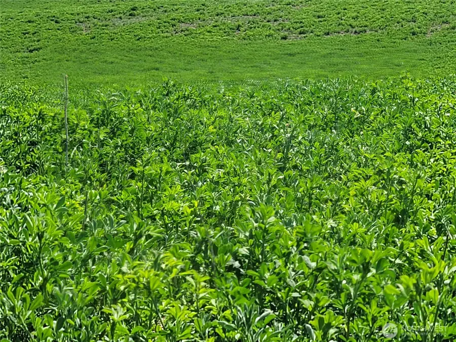 1612 Katen Road #3, Ellensburg, WA 98926 - #3