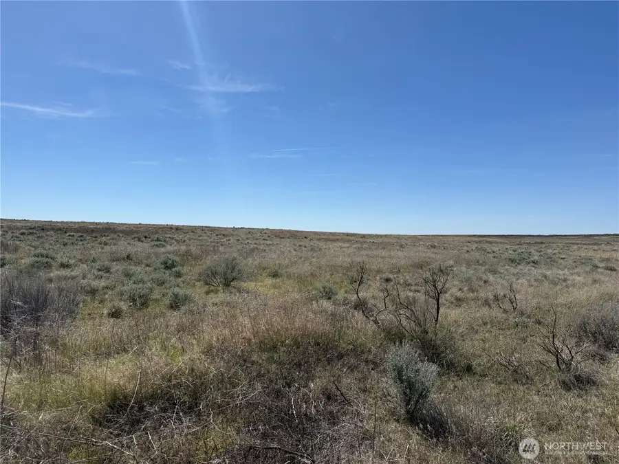 0 Black Rock Road N, Odessa, WA 99159 - #3