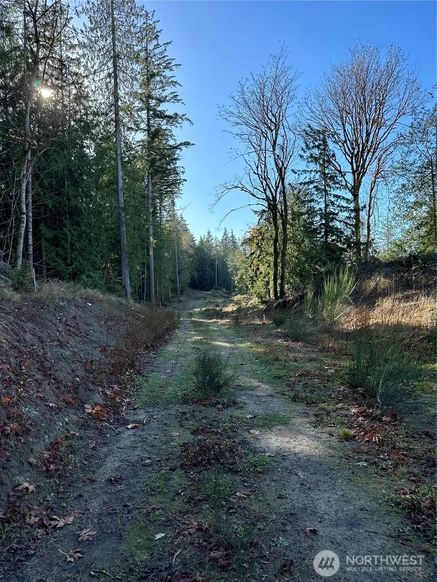 6 Lilypad Place E #6, Port Orchard, WA 98366 - #3