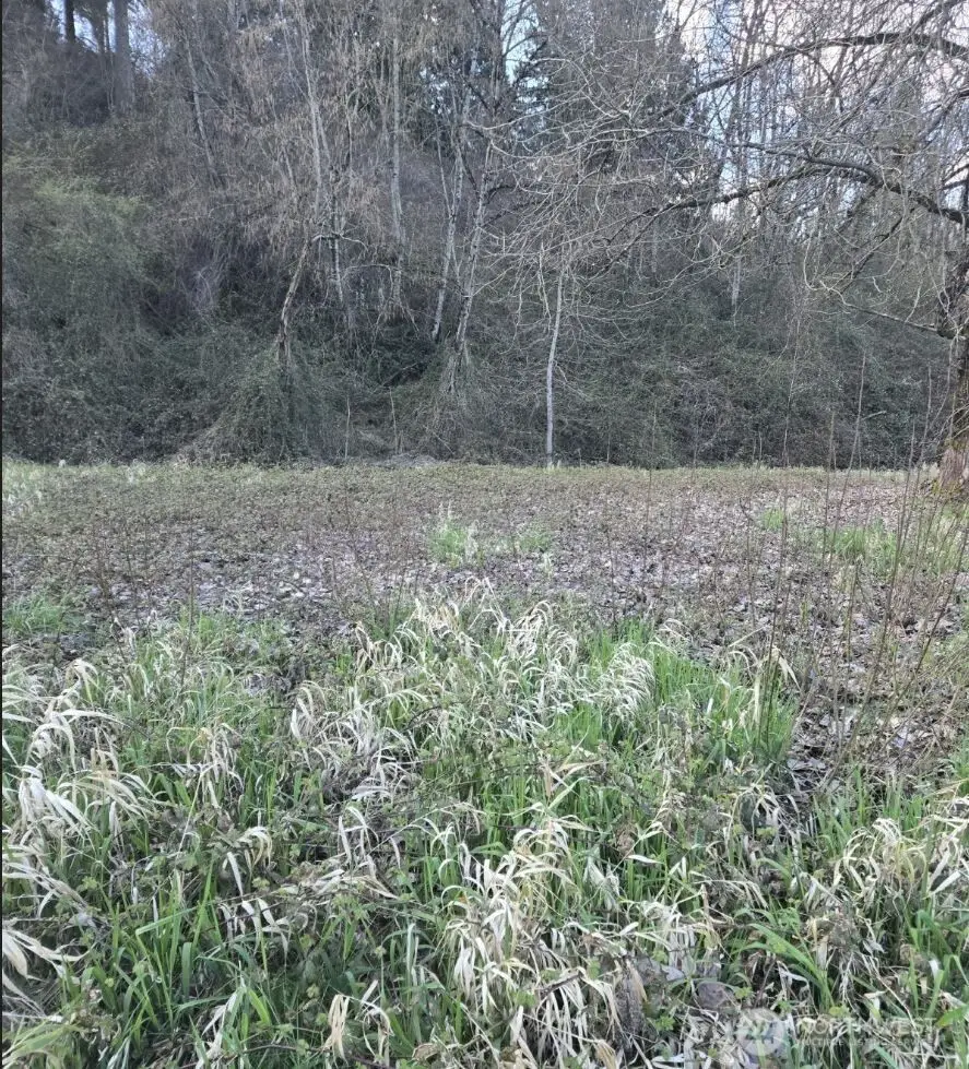 2210 W Valley Highway E, Edgewood, WA 98372 - #3