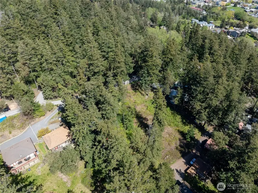 122 Geer Lane, Orcas, WA 98245 - #3