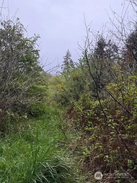 1 30th Street #1-4, Port Townsend, WA 98368 - #3