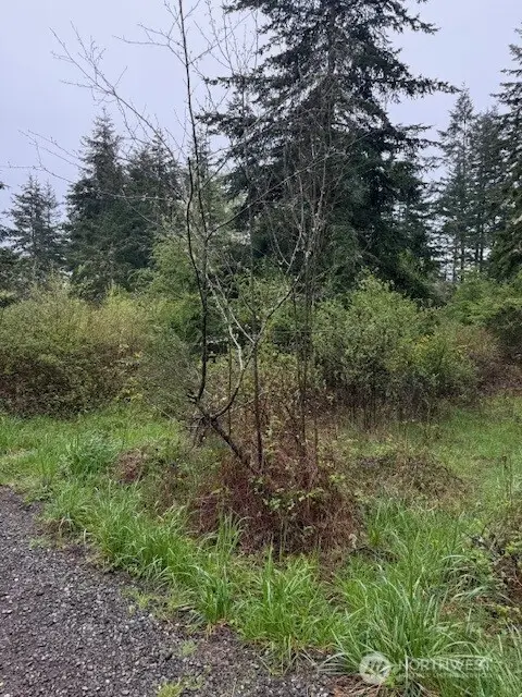 1 Katherine Street #1 - 2, Port Townsend, WA 98368 - #2