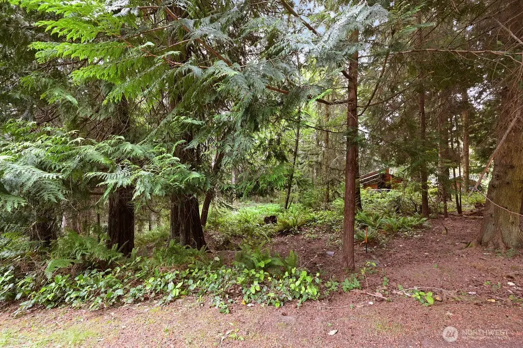 241 Belvedere Drive #241, Port Townsend, WA 98368 - #1