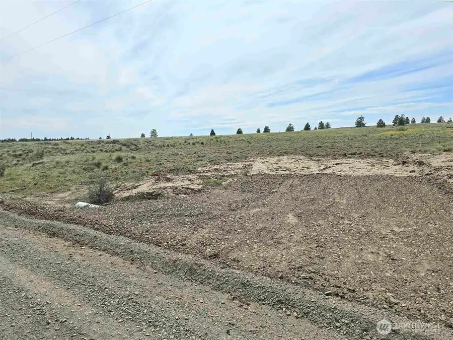 141 Middle Rd, Bickleton, WA 99322 - #2