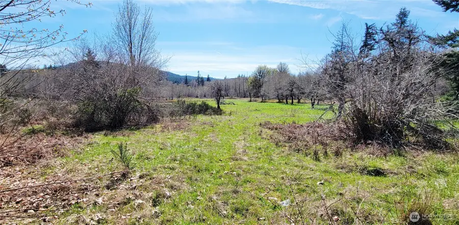 0 W Cloquallum Road, Shelton, WA 98584 - #2