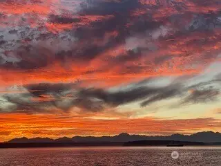 10203 47th Avenue Sw #C8, Seattle, WA 98146 - #1