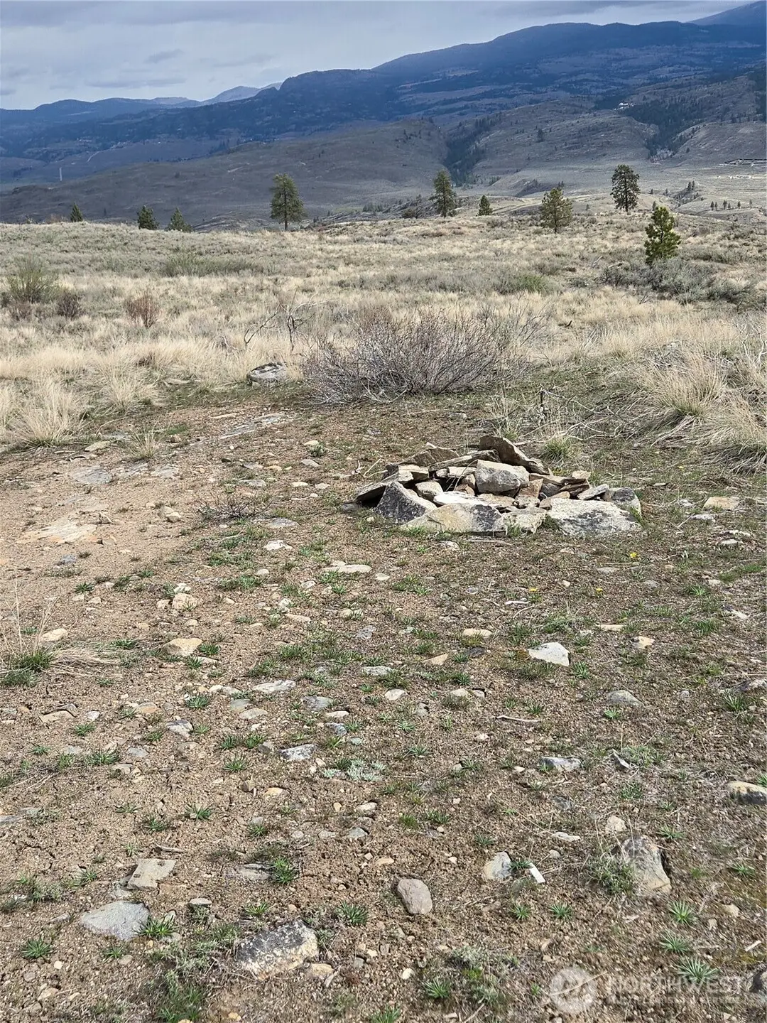 0 Tbd Twin Springs Road, Tonasket, WA 98855 - #1