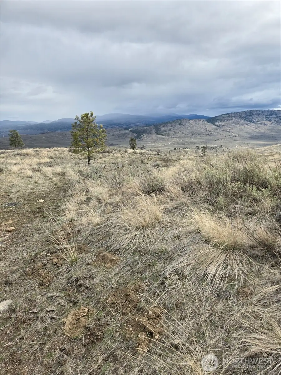 0 Tbd Twin Springs Road, Tonasket, WA 98855 - #2