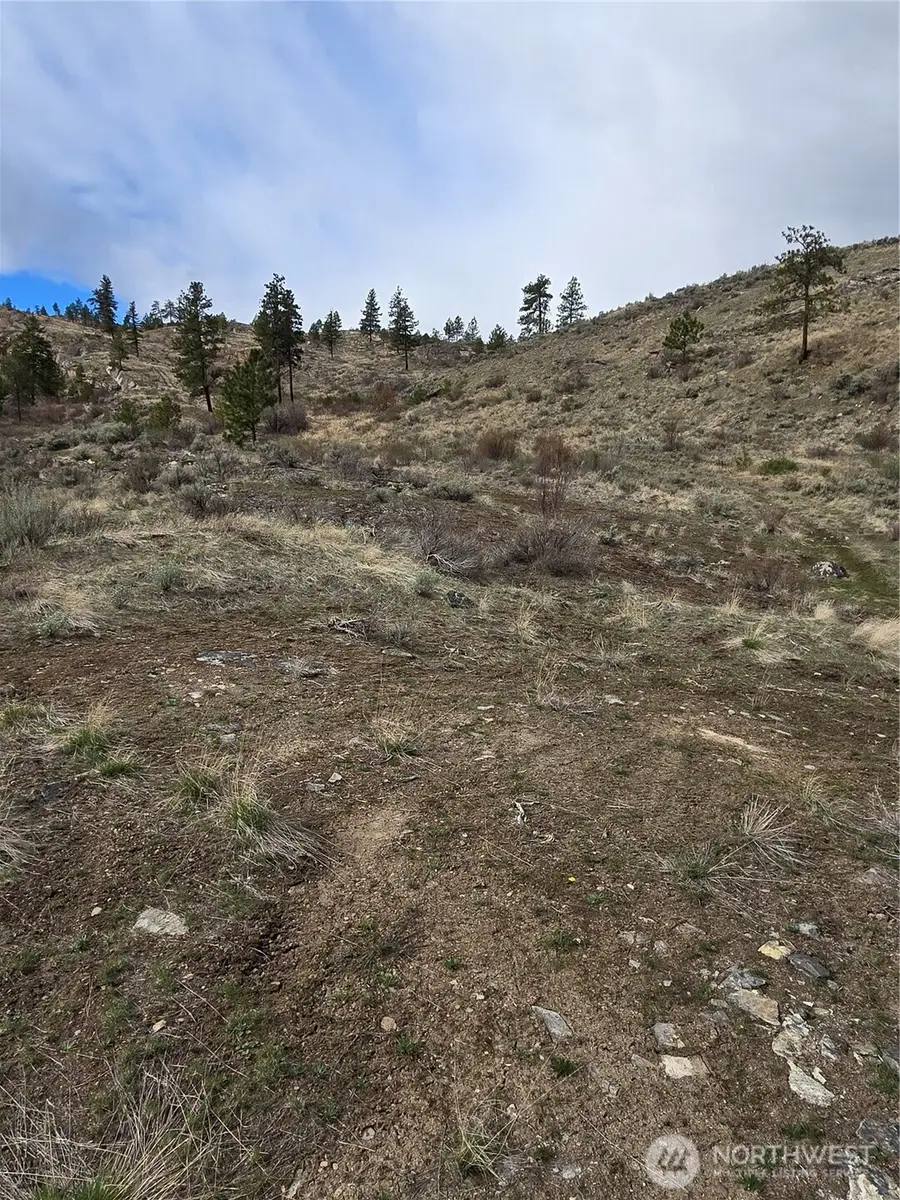 0 Tbd Twin Springs Road, Tonasket, WA 98855 - #3