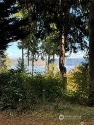 10911 Seaview Drive #137, Anderson Island, WA 98303 - #3
