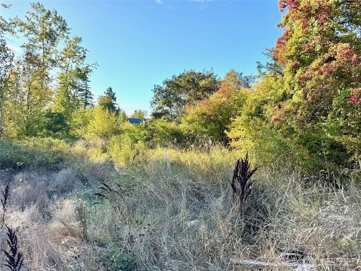 1311 S 87th Street, Tacoma, WA 98444 - #1