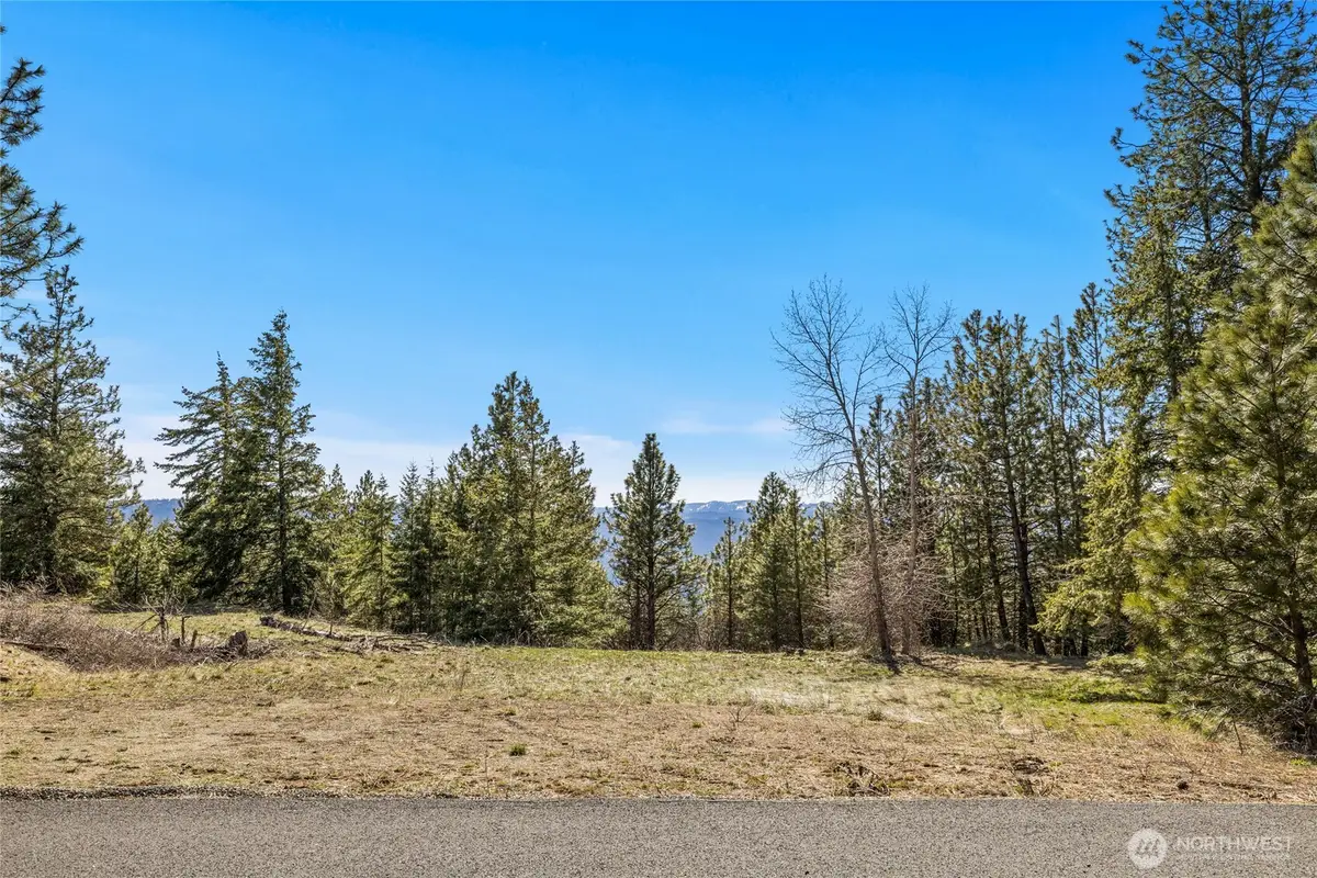 80 Forest Ridge (lot 80) Drive, Cle Elum, WA 98922 - #1