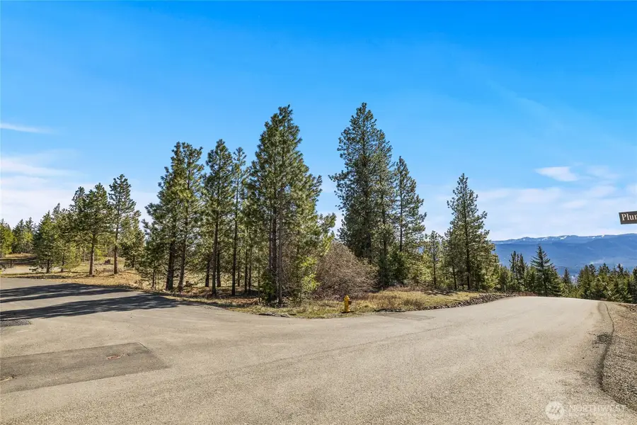 80 Forest Ridge (lot 80) Drive, Cle Elum, WA 98922 - #3