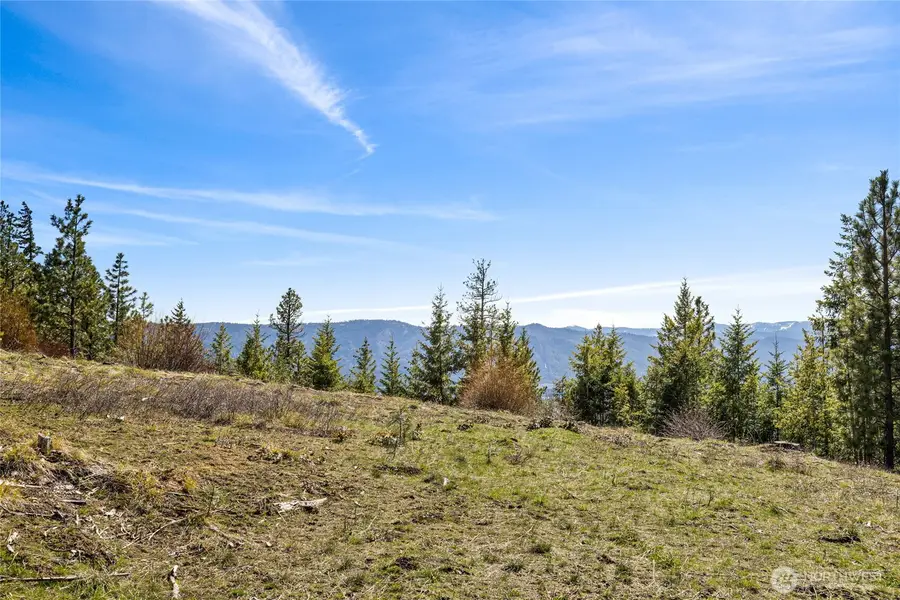 81 Forest Ridge (lot 81) Drive, Cle Elum, WA 98922 - #3