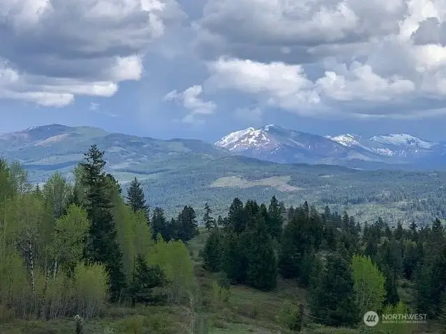 354 Vulcan Mountain Road, Curlew, WA 99118 - #2