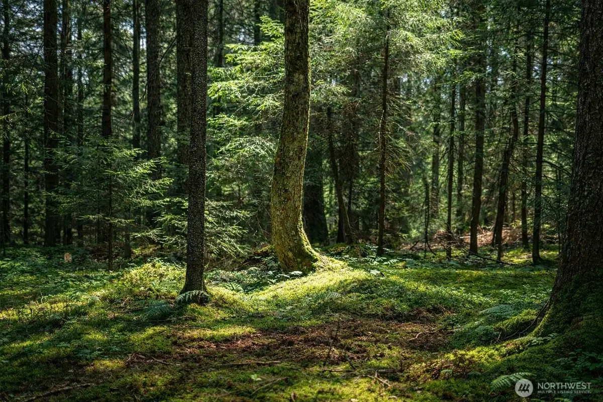 44110 SE 159th Street, North Bend, WA 98045 - #1