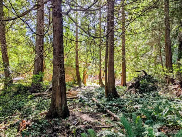 1940 N Cedar Park Drive #5, Point Roberts, WA 98281