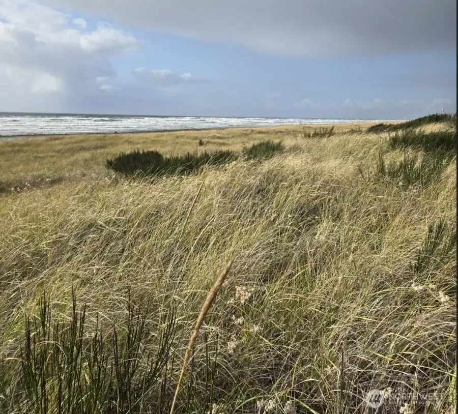 4717 State Route 105 S, Grayland, WA 98547 - #3