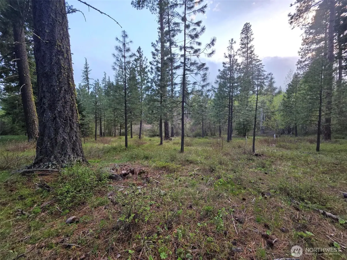 15 Old Grove Trail #15, Cle Elum, WA 98922 - #1