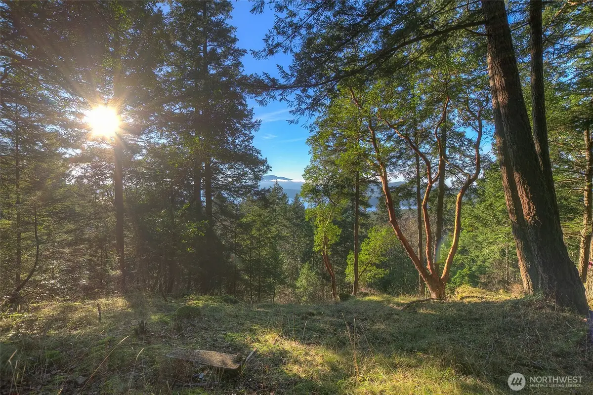 558 Buck Mt. Road, Orcas, WA 98245 - #1