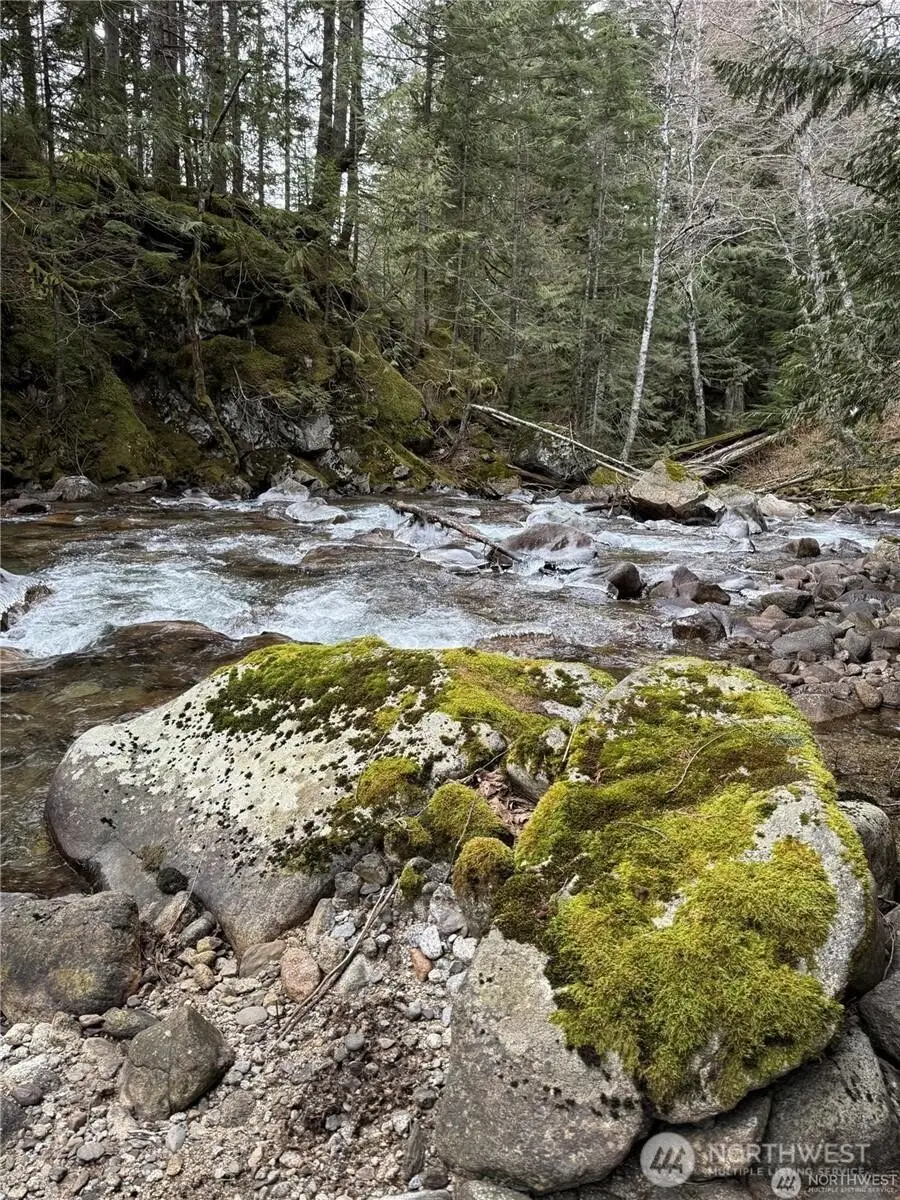 87236 NE Old Cascade Highway, Skykomish, WA 98288 - #1