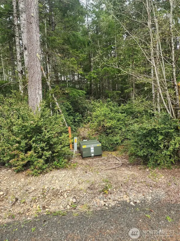 51 E Blackberry Lane, Union, WA 98592