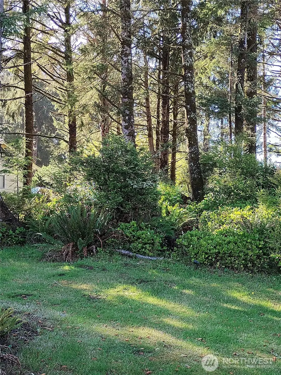 762 Chenois Avenue Ne, Ocean Shores, WA 98569 - #3