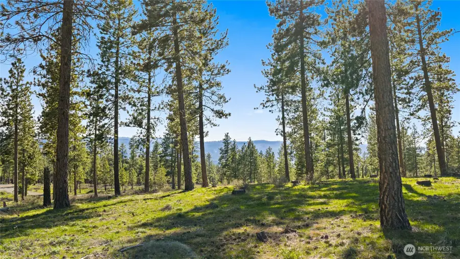 0 Flying M #G, Cle Elum, WA 98922 - #3