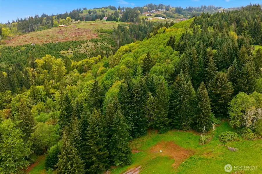 0 Green Mountain Rd, Kalama, WA 98625 - #3