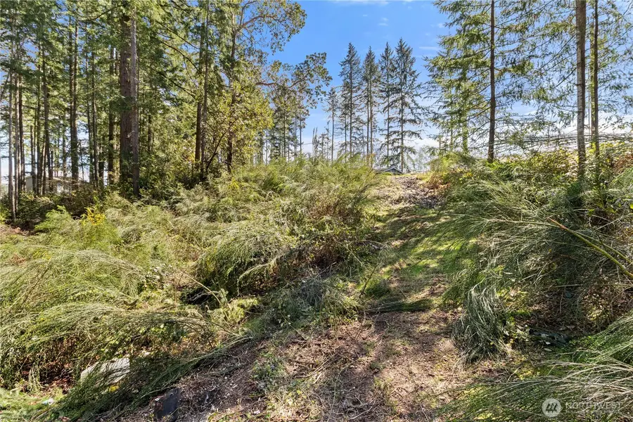 19025 SW 23rd St #24, Lakebay, WA 98349 - #3