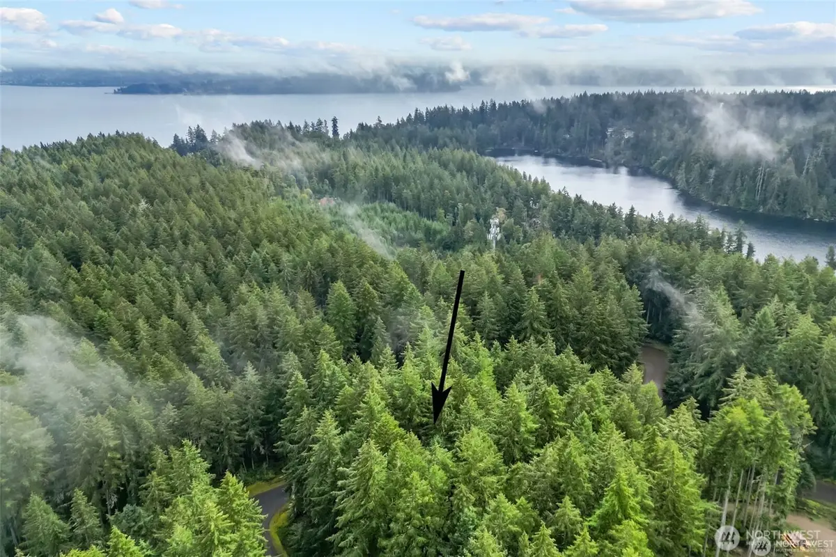 11025 Admiralty Way #209, Anderson Island, WA 98303 - #1