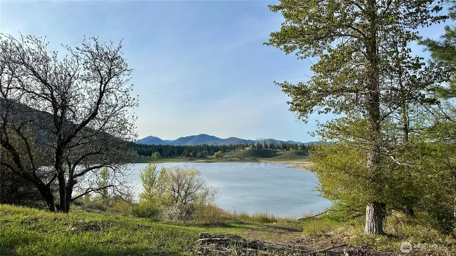 132 Twin Lakes Road, Winthrop, WA 98862 - #3