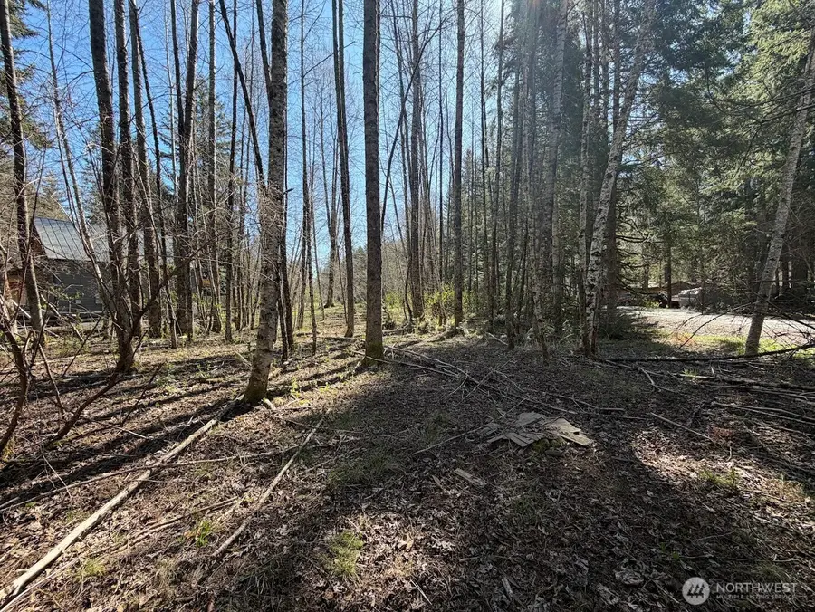 181 Nisqually Way, Ashford, WA 98304 - #2