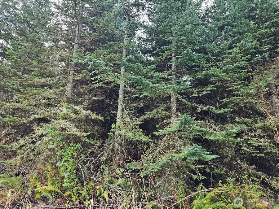 0 Birley Rd, Mossyrock, WA 98564 - #2