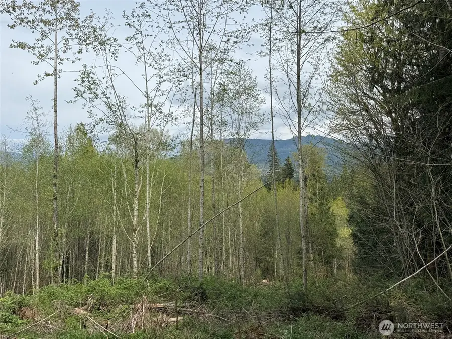 33115 37th Avenue Ne #1, Arlington, WA 98223 - #2