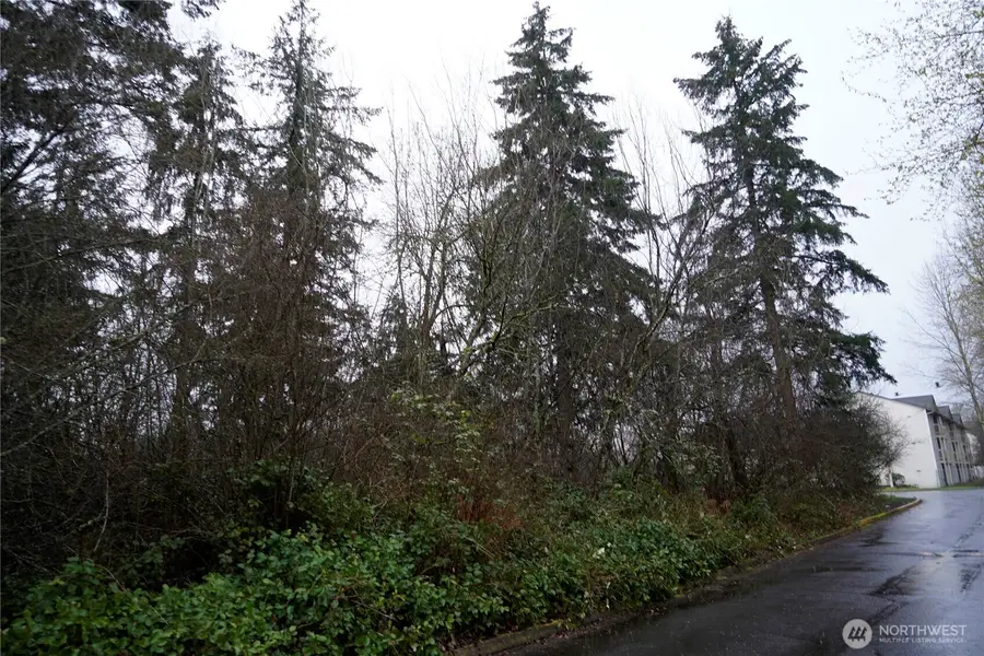 803 112th Street E, Tacoma, WA 98445 - #3