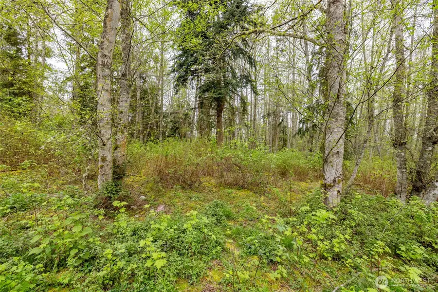 0 W Ault Field Road (lot 2), Oak Harbor, WA 98277 - #3