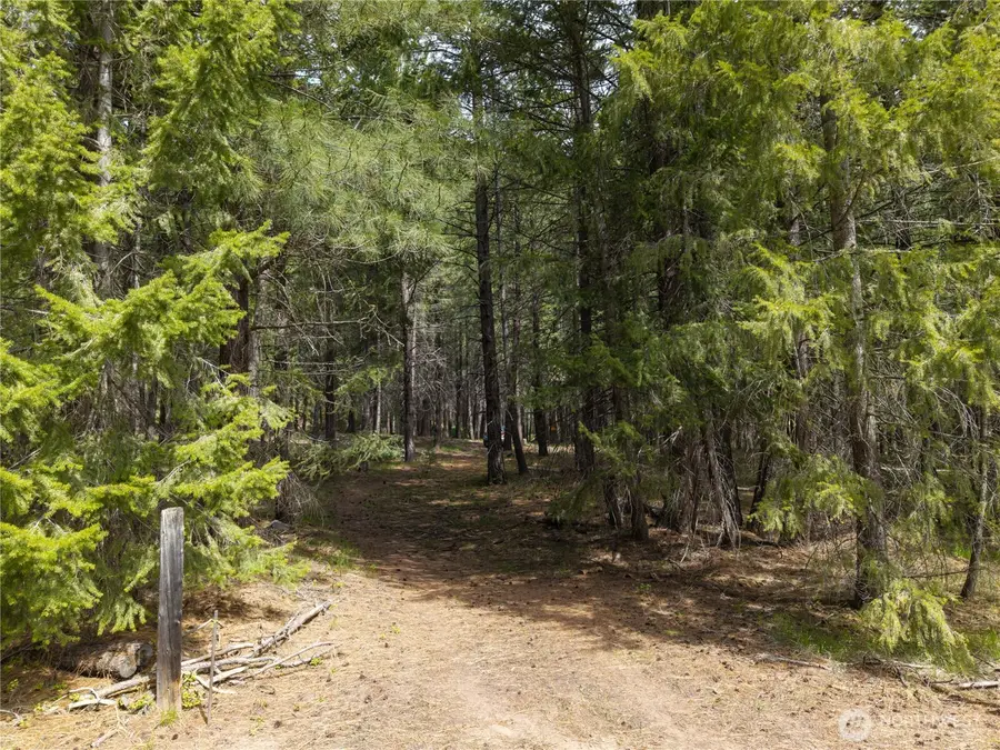 578 Lost River Road #5, Mazama, WA 98833 - #3