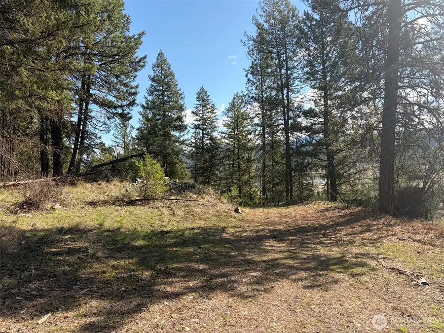 111 West Curlew Lake Road, Republic, WA 99166 - #2