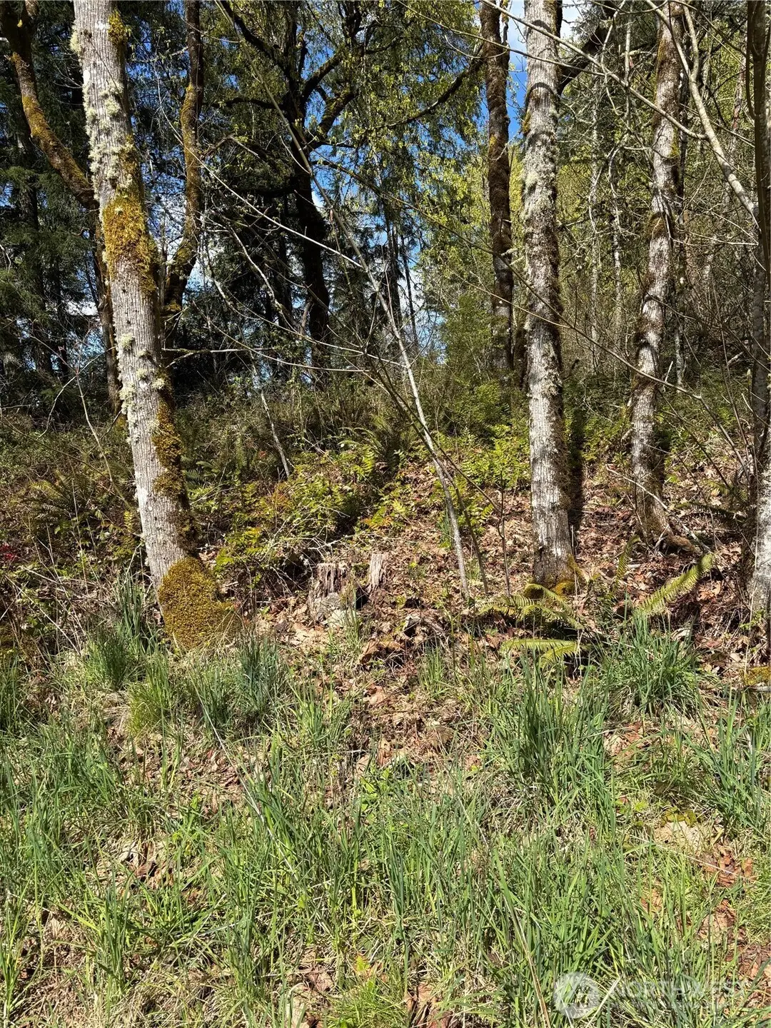 5838 Octava Court Sw #96, Olympia, WA 98513 - #1