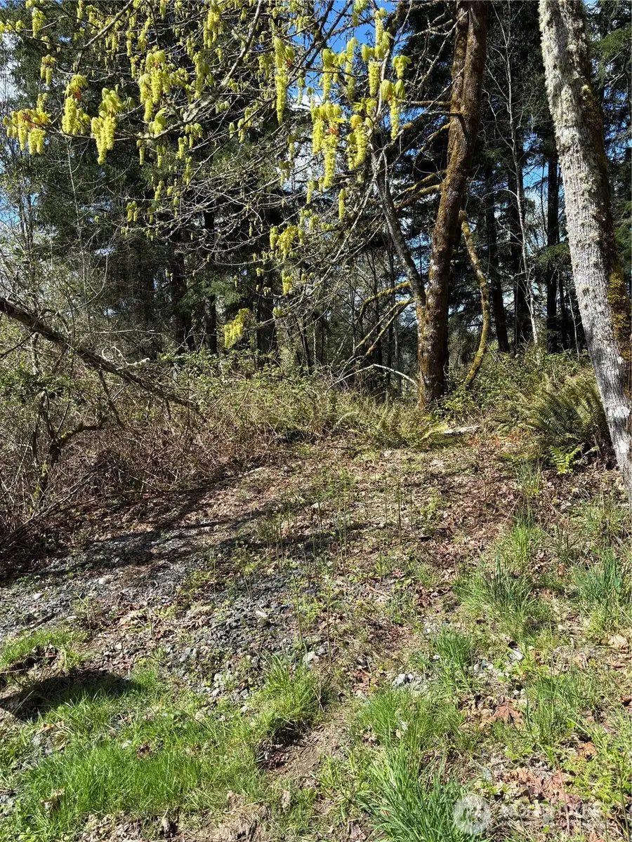 5838 Octava Court Sw #96, Olympia, WA 98513 - #2