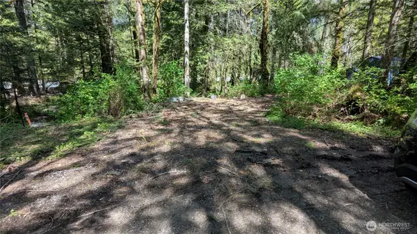 49817 Index-galena Road #9, Index, WA 98294