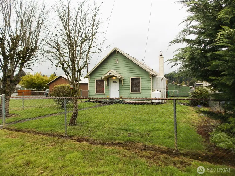 245 3rd Street, Morton, WA 98356 - #3