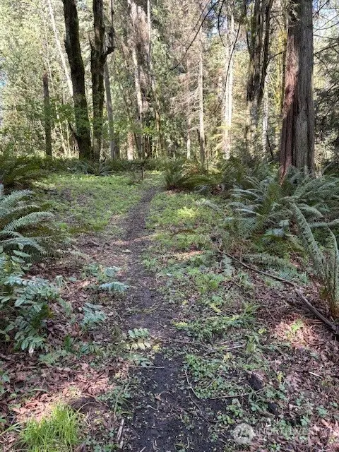 0 Agate Pass Road #LOT B of COBI SP BI-318, Bainbridge Island, WA 98110 - #1