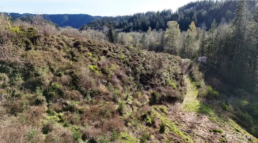 2916 Little Hanaford Rd, Centralia, WA 98531 - #2