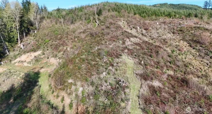 2916 Little Hanaford Rd, Centralia, WA 98531 - #3