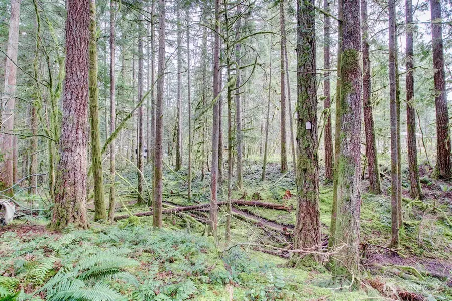 22 Wilderness Way, Deming, WA 98244 - #2