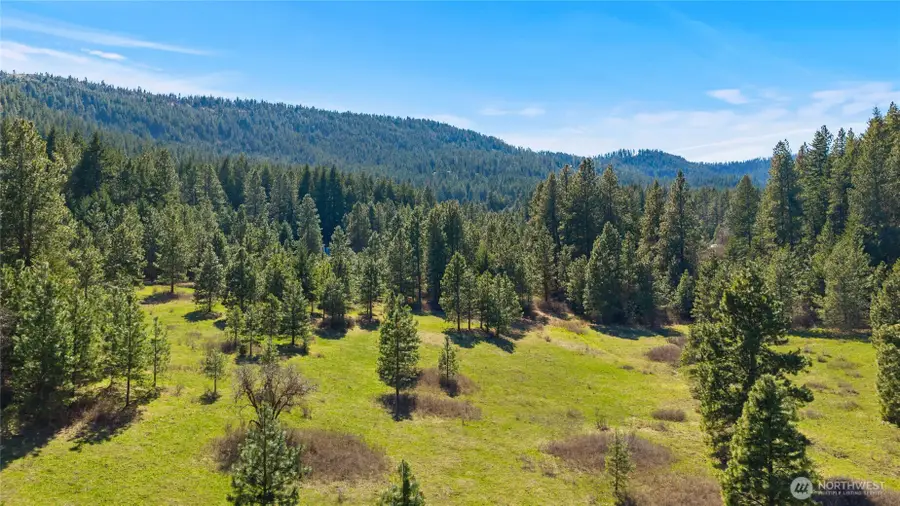 0 Thornton Creek Lane, Cle Elum, WA 98922 - #2