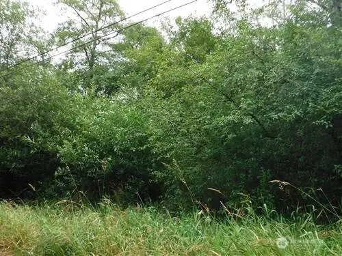 2406 Willows Rd #3 & 4, Seaview, WA 98644 - #1